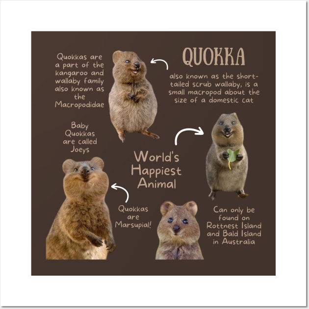 Animal Facts - Quokka Wall Art by Animal Facts and Trivias